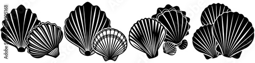 line art vector illustration collection of seashells with wood cutting style. isolate on a white background. SVG and PNG
