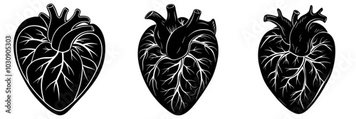 line art vector illustration collection of heart with wood cutting style. isolate on a white background. SVG and PNG
