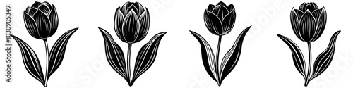 line art vector illustration collection of tulip with wood cutting style. isolate on a white background. SVG and PNG
