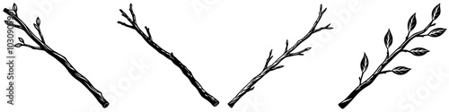 line art vector illustration collection of twig with wood cutting style. isolate on a white background. SVG and PNG
