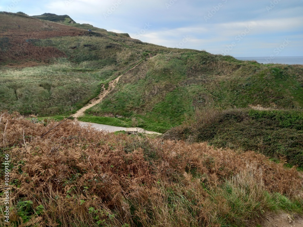 Fototapeta premium path to the sea