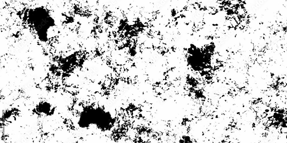 Fototapeta premium Artistic and natural black and white fleck texture. Texture floor concept surreal granite quarry stucco distress overlay with monochrome design. Abstract monochrome pattern dust messy background. 