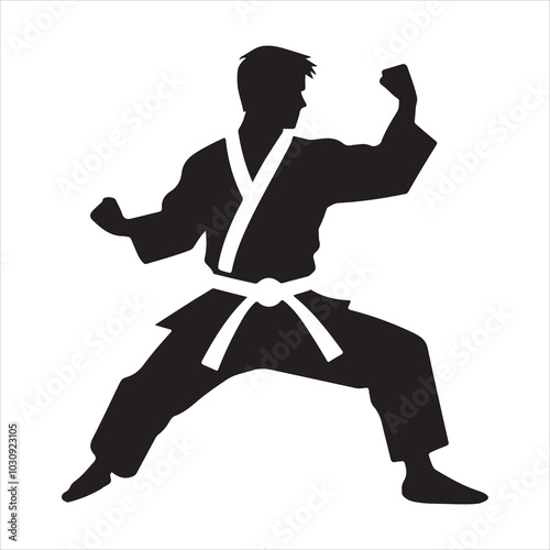 Karate silhouette on white background
