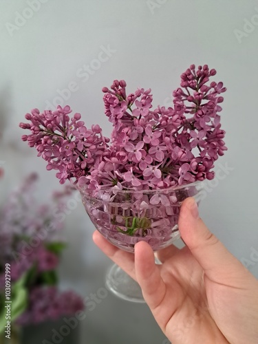 hand holding lilac