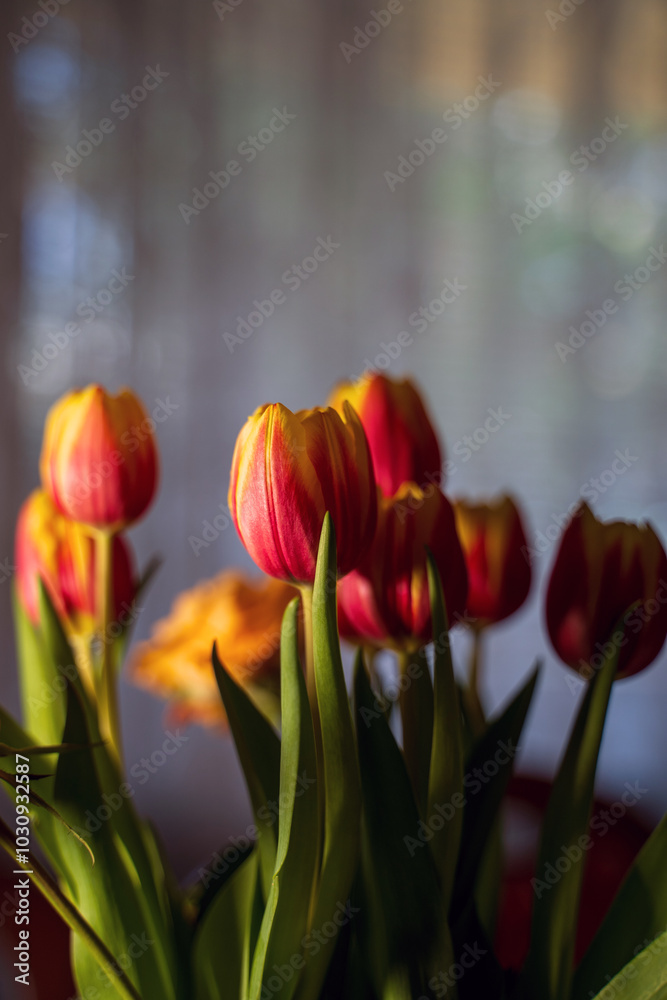 A bouquet of red and yellow tulips and orange roses against a soft, light background. The focus is on the tulips, with their vibrant colors and smooth petals.