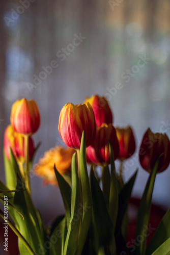 Obraz na płótnie A bouquet of red and yellow tulips and orange roses against a soft, light background. The focus is on the tulips, with their vibrant colors and smooth petals. w salonie