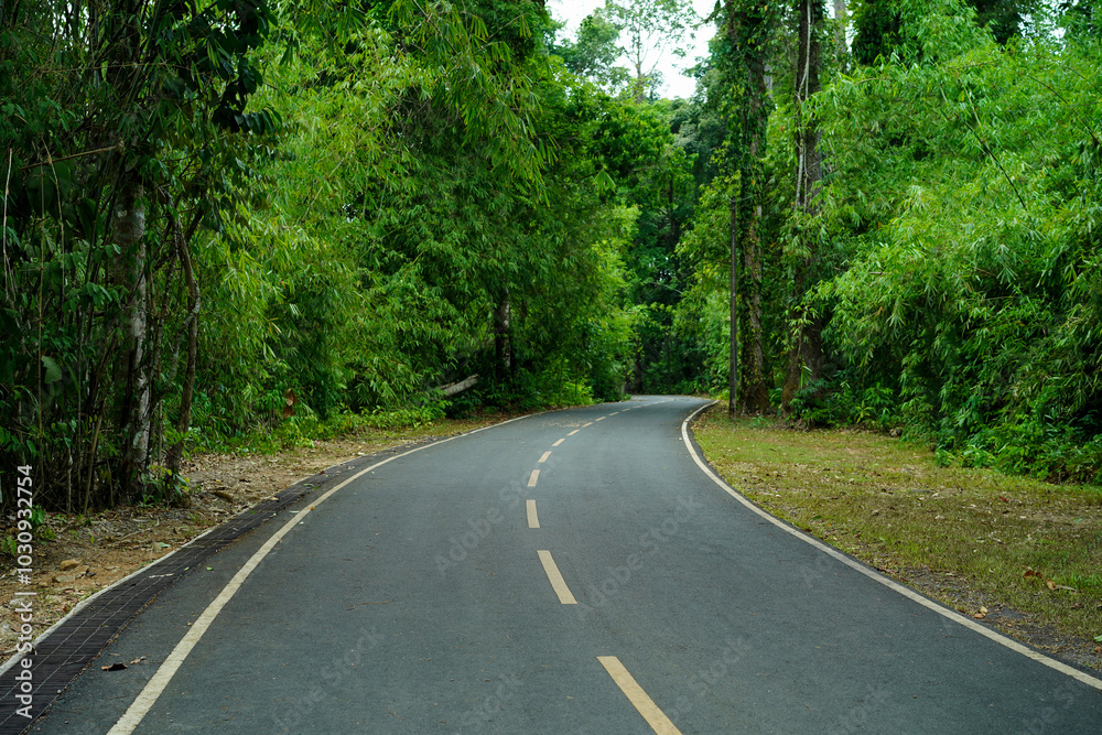 Empty curved concrete roadway winds through a green nature park with trees in the forest, Thailand. Empty curved concrete roadway winds through a green nature park with trees in the forest, Thailand.
