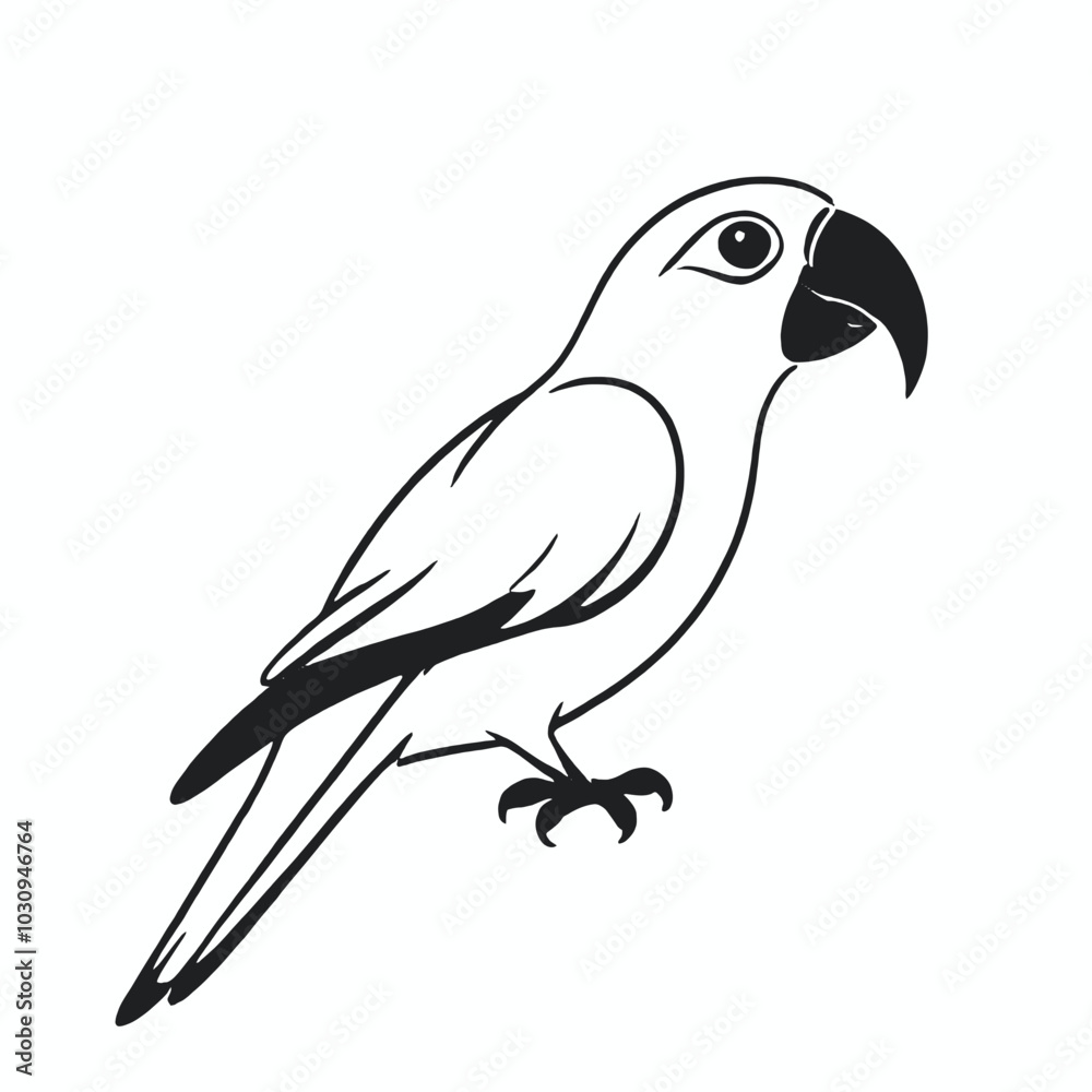 Fototapeta premium A black and white illustration of a parrot 