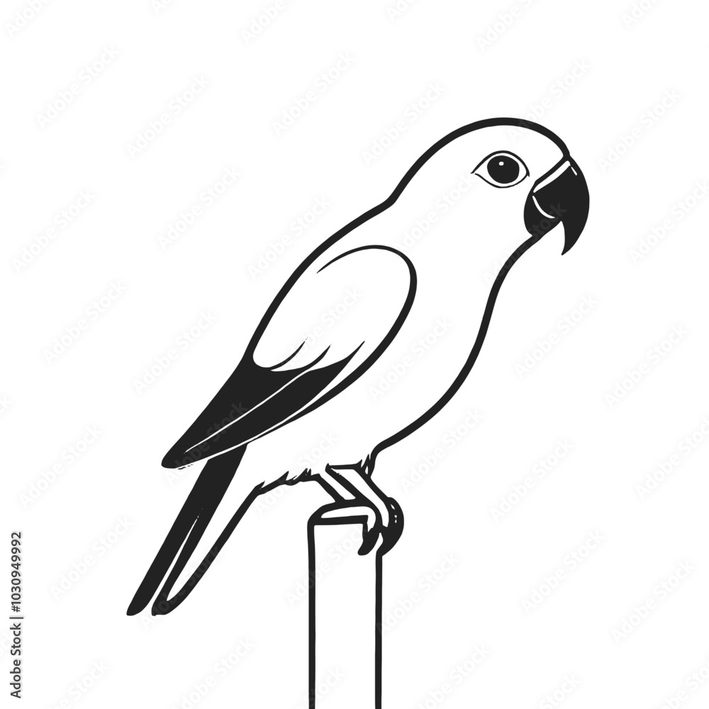 Fototapeta premium A black and white illustration of a parrot 