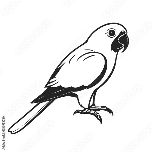 A black and white illustration of a parrot 