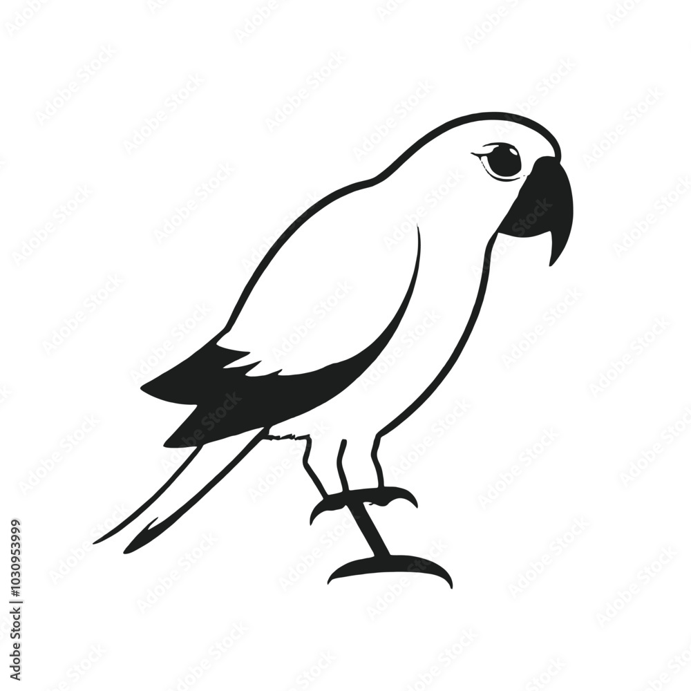 Fototapeta premium A black and white illustration of a parrot 