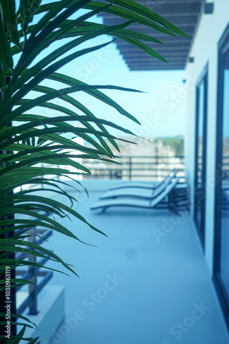luxury swimming pool