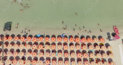 Perpendicular aerial view of beach clubs with orange and gray umbrellas on a sandy coast of Salento, Puglia, Italy. There are people and tourists swimming and sunbathing. photo