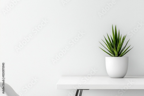 White Table with a Potted Plant in a White Room