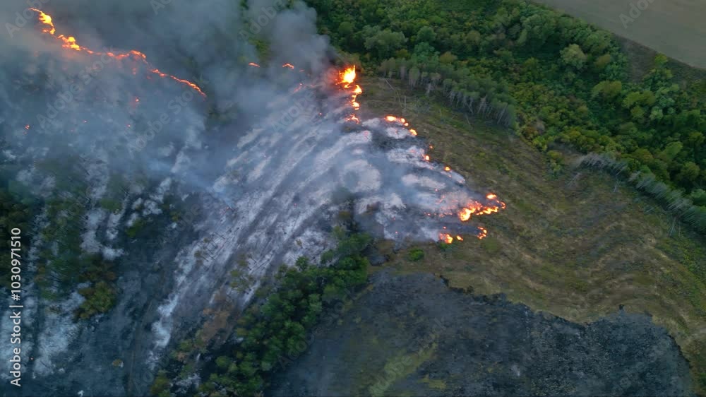 Aerial view of wildfires burning fields and woods on a late summer afternoon. Infernal fires scorching earth and forest during seasonal drought. Wild fire destroying crops and plantations.
Aerial view of wildfires burning fields and woods on a late summer afternoon. Infernal fires scorching earth and forest during seasonal drought. Wild fire destroying crops and plantations.