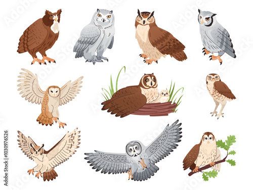 Forest owl birds collection. Flying and sitting owls on tree branches, night prey animal brown beautiful smart bird face watching eyes, little owlet swanky vector illustration