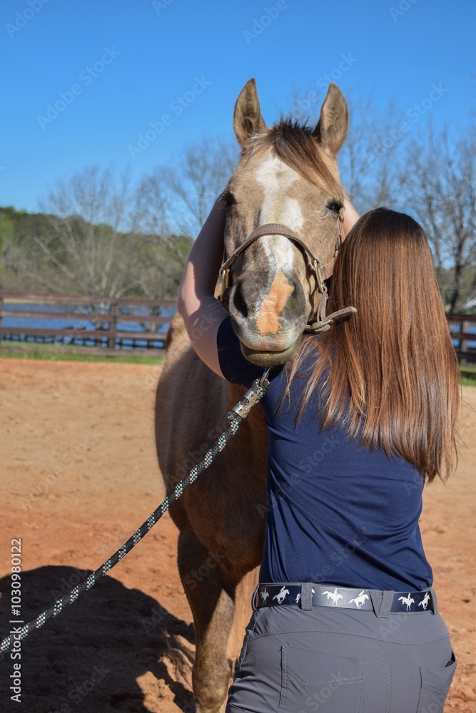 Obraz premium Horse getting a chiropractic adjustment done