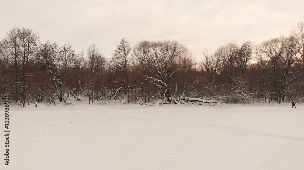 Frozen river Frozen river
