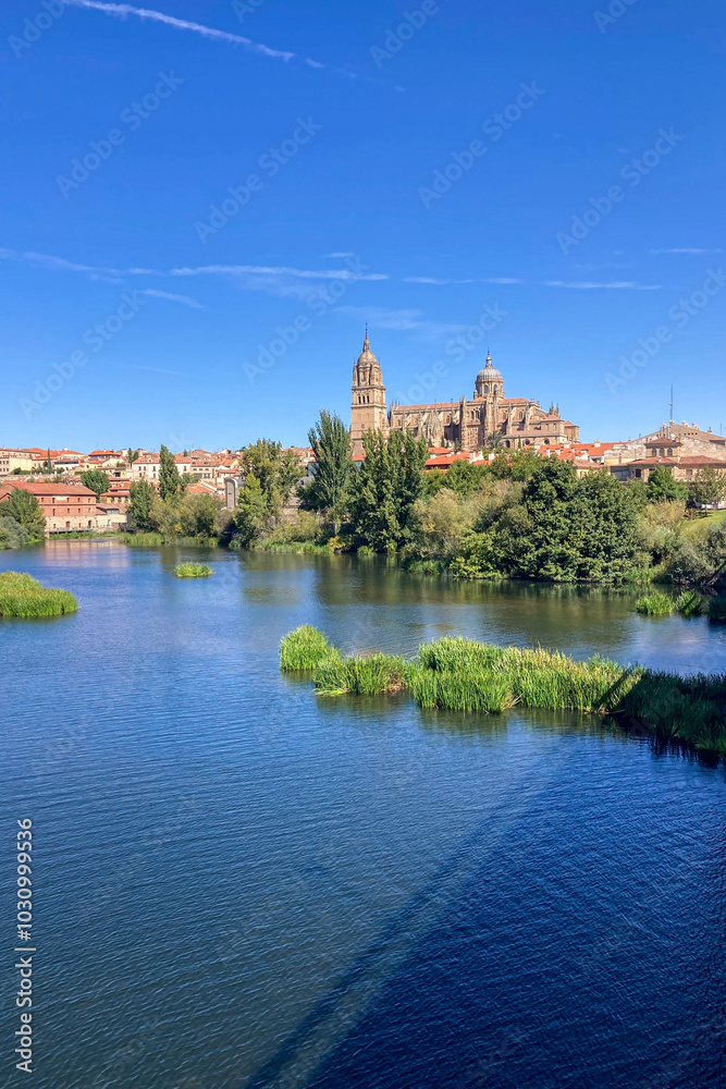 Obraz premium Salamanca Cathedral in Salamanca, Spain