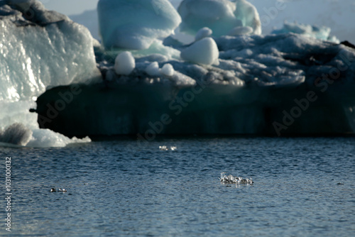 Landschaftsbild auf Island, Jokulsarlon, Gletschersee photo
