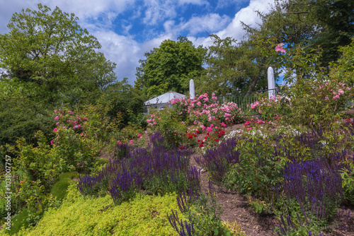 Garden of exquisite varieties of roses in the park in Germany. Summer landscape