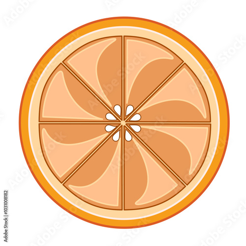 Grapefruit fruit slice illustration. Flat vector illustration of grapefruit citrus slice