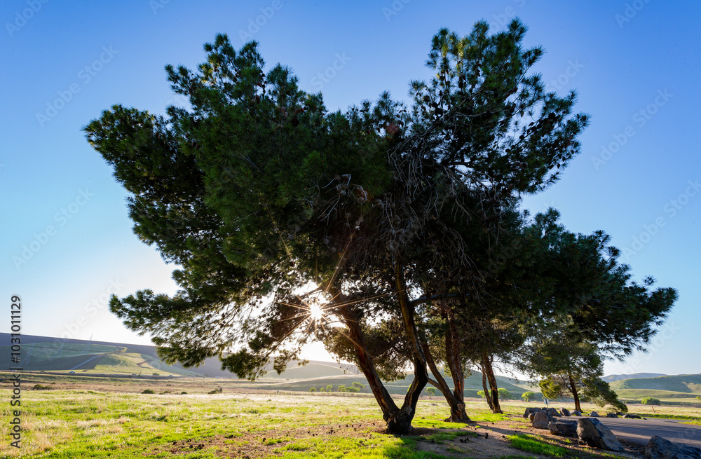Sunny view of the landscape of San Luis Reservoir State Recreation Area