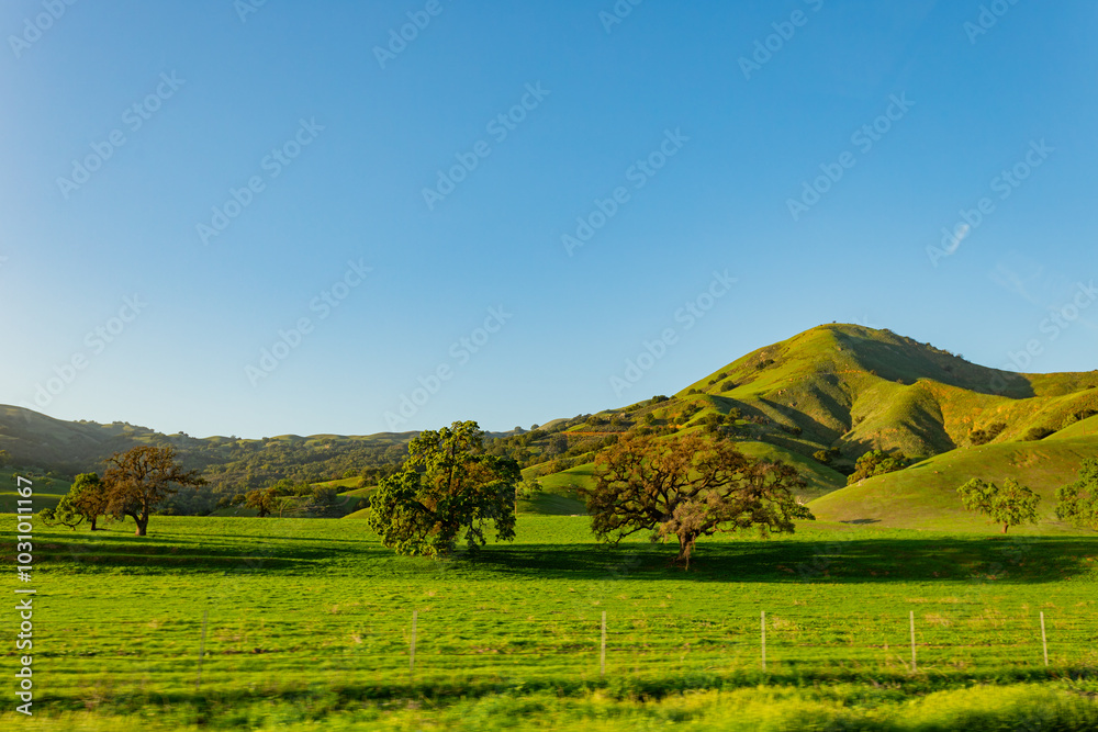 Sunny view of the rural landscape around Los Banos