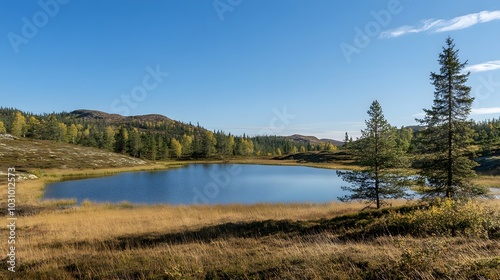 A Serene Scandinavian Landscape With Rolling Hills, Pine Trees, and a Tranquil Lake Under a Clear Blue Sky