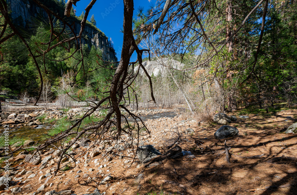 Sunny view of the river landscape in Yosemite National Park
