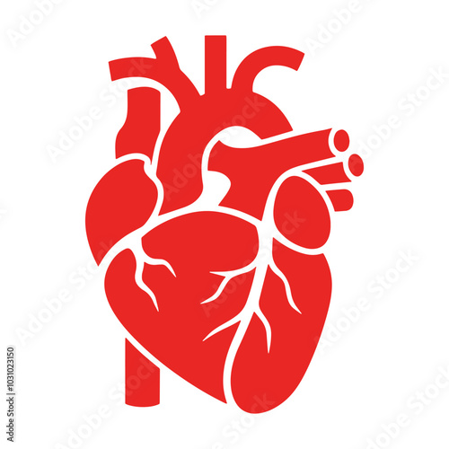 Real human heart organ icon in red, flat style. Vector illustration ideal for medical designs, health symbols, and anatomy projects. Perfect for educational and healthcare-related visuals.
