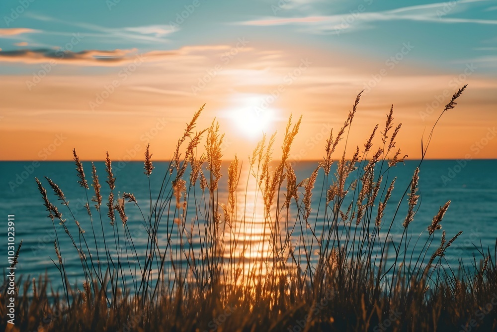 Sunset Over Ocean with Grass Silhouettes
Sunset Over Ocean with Grass Silhouettes