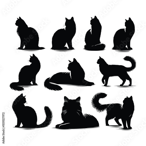 Black Cat Silhouettes in Various Poses