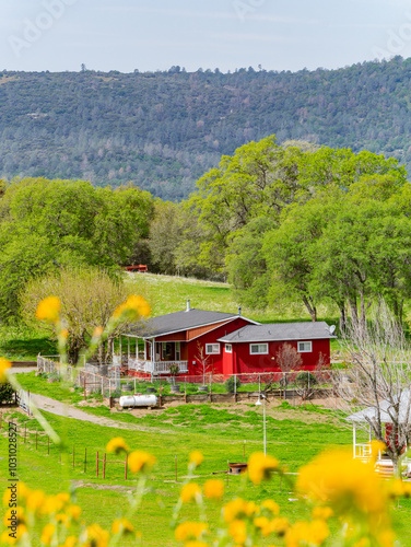 Sunny view of a red farmhouse with flower blossom