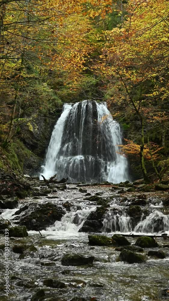 Vertical shot of a twofold waterfall in an autunm forest, colorful leaves, Josefsthaler Wasserfälle, Bavaria Vertical shot of a twofold waterfall in an autunm forest, colorful leaves, Josefsthaler Wasserfälle, Bavaria