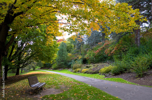 Fototapeta Naklejka Na Ścianę i Meble -  Autumn Scene with Bench and Walking Trail in Rockliffe Park, Ottawa, Canada