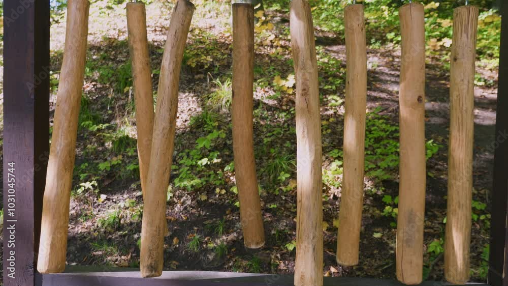 Musical instrument dendrofon. The sticks are made of beech, oak, linden, birch, spruce, pine, maple and ash. The sound is produced by hitting the sticks with a wooden mallet. Musical instrument dendrofon. The sticks are made of beech, oak, linden, birch, spruce, pine, maple and ash. The sound is produced by hitting the sticks with a wooden mallet.