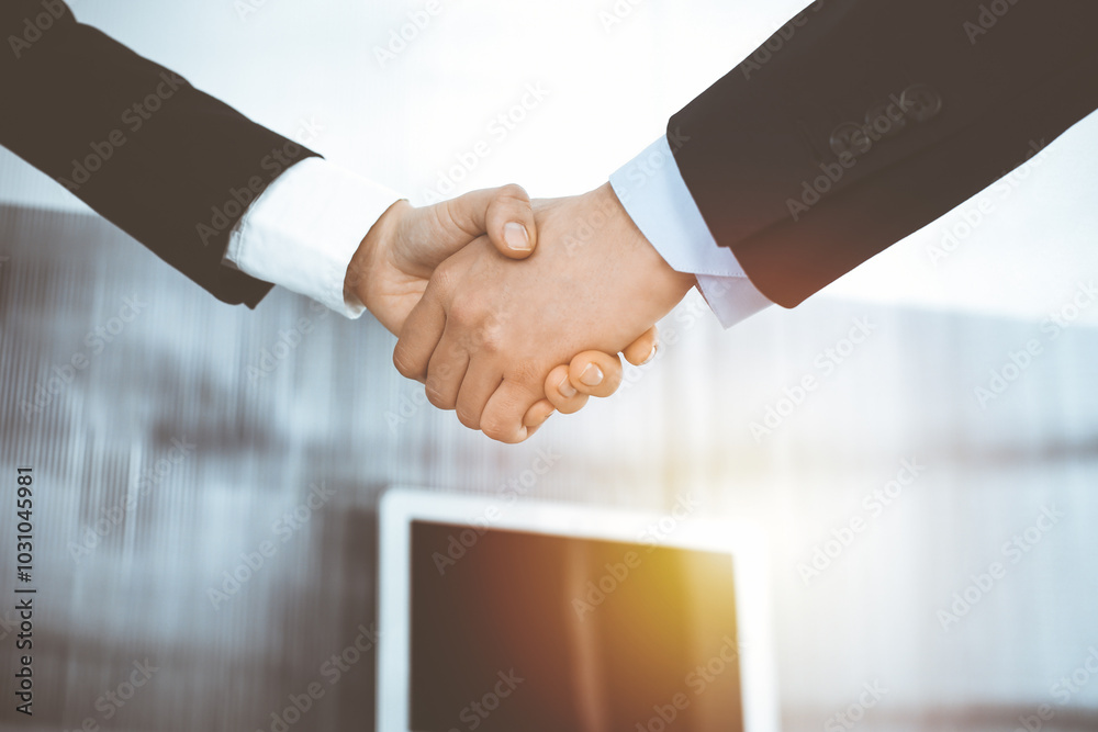 Businessman and woman shaking hands in sunny office, close-up. Concept of handshake as success symbol in business Businessman and woman shaking hands in sunny office, close-up. Concept of handshake as success symbol in business