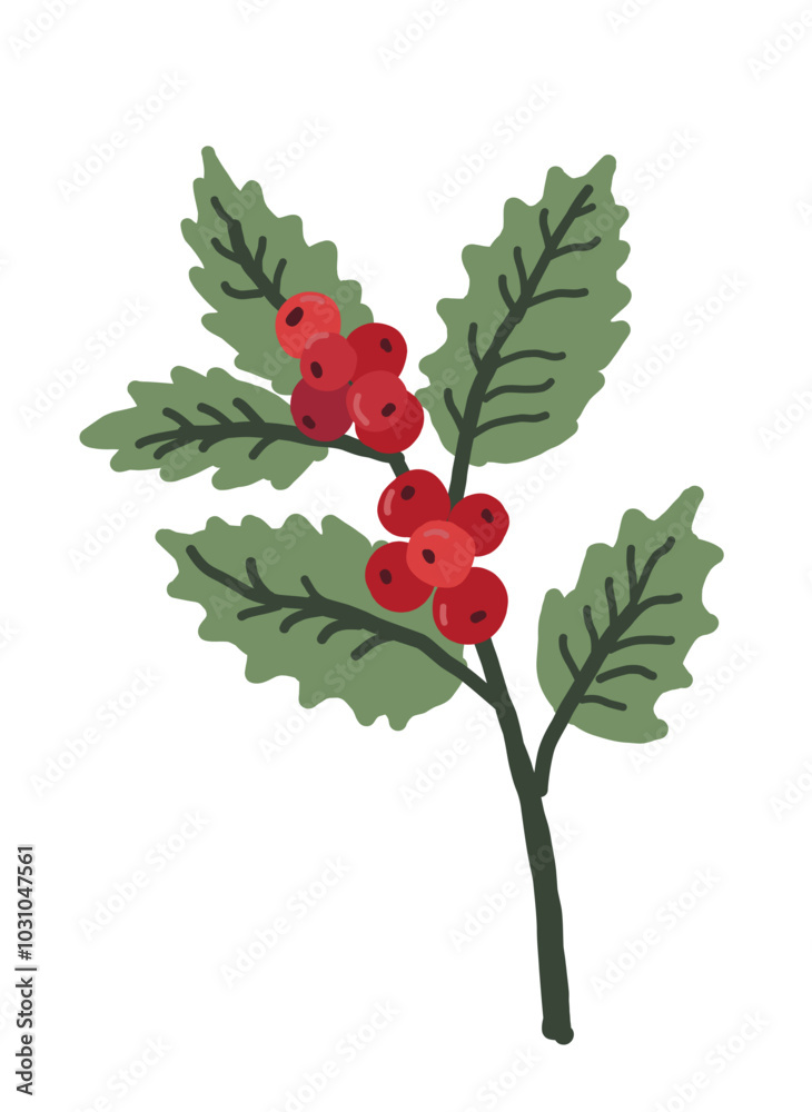 Holly berries with leaves. Christmas decoration element. Winter plant hand drawn illustration. Holly berries with leaves. Christmas decoration element. Winter plant hand drawn illustration.