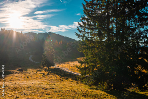 Gravel alpine path in early morning, on the way from Rudno polje to Planina Uskovnica in slovenian Julian alps. Autumn feeling with trees and grass yellow and brown toned photo