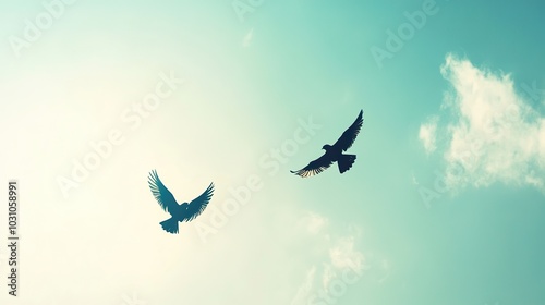 Two birds flying toward each other in the sky photo