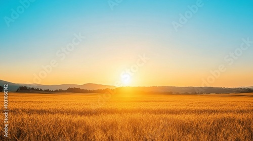 Golden Wheat Field at Sunset with Distant Hills