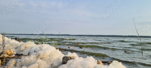 Foaming water on the lake shore