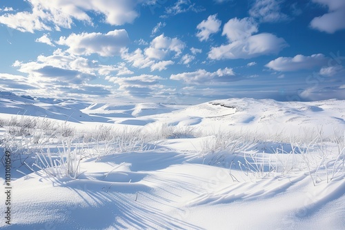 Snow-covered landscape with winding tracks under a bright sky and fluffy clouds during daylight in a tranquil winter setting