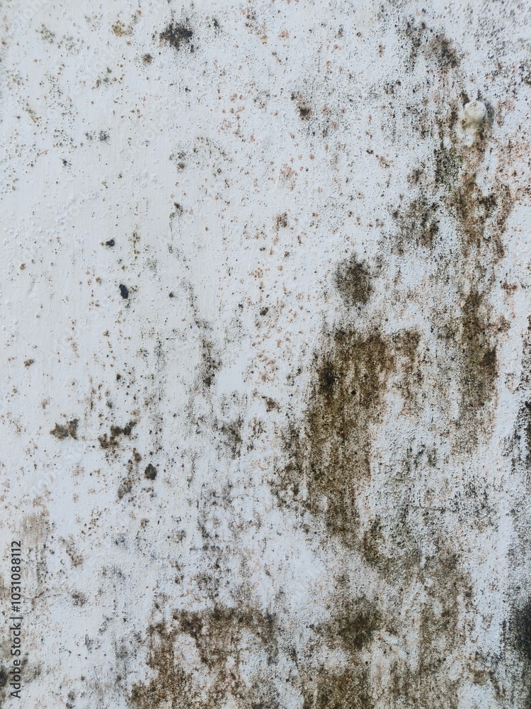 Texture of old concrete wall.Concrete wall of light grey color cement texture background.Grey pastel rough crack cement texture stone concrete,rock plastered stucco wall; painted flat fade background. Texture of old concrete wall.Concrete wall of light grey color cement texture background.Grey pastel rough crack cement texture stone concrete,rock plastered stucco wall; painted flat fade background.