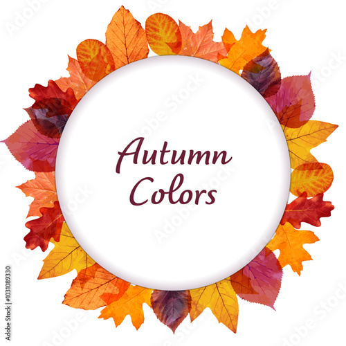 Autumn Leaves Circle