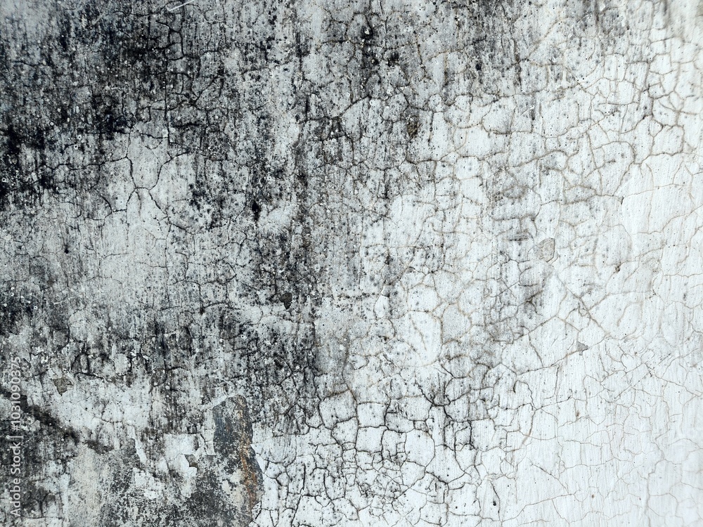 Texture of old concrete wall.Concrete wall of light grey color cement texture background.Grey pastel rough crack cement texture stone concrete,rock plastered stucco wall; painted flat fade background. Texture of old concrete wall.Concrete wall of light grey color cement texture background.Grey pastel rough crack cement texture stone concrete,rock plastered stucco wall; painted flat fade background.