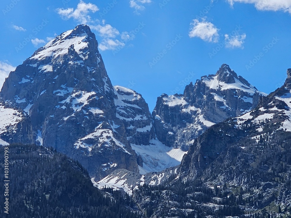 Fototapeta premium Grand Teton National Park