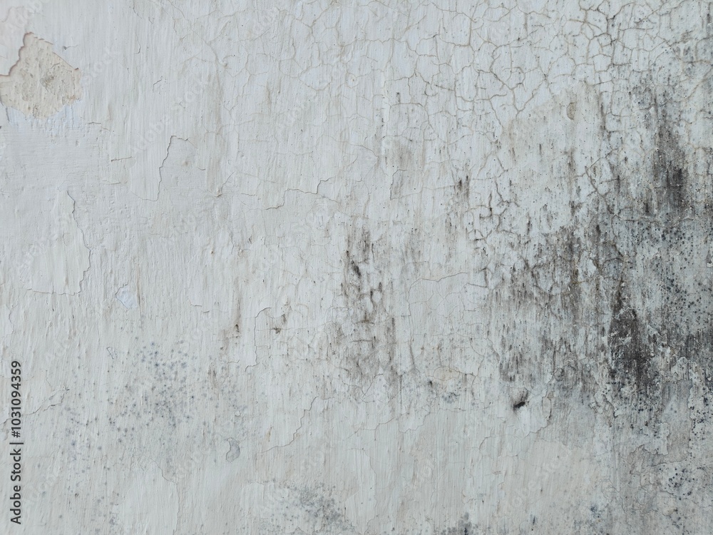 Texture of old concrete wall.Concrete wall of light grey color cement texture background.Grey pastel rough crack cement texture stone concrete,rock plastered stucco wall; painted flat fade background. Texture of old concrete wall.Concrete wall of light grey color cement texture background.Grey pastel rough crack cement texture stone concrete,rock plastered stucco wall; painted flat fade background.