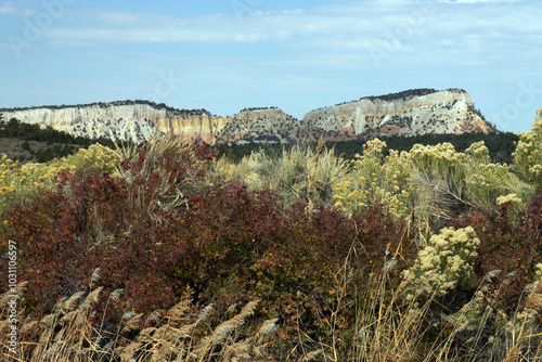 Roadside view of autumn grasses and colorful rocks in northwestern New Mexico’s rural landscape photo